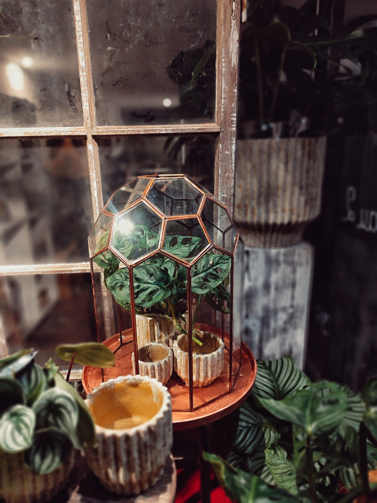 Small indoor greenhouse