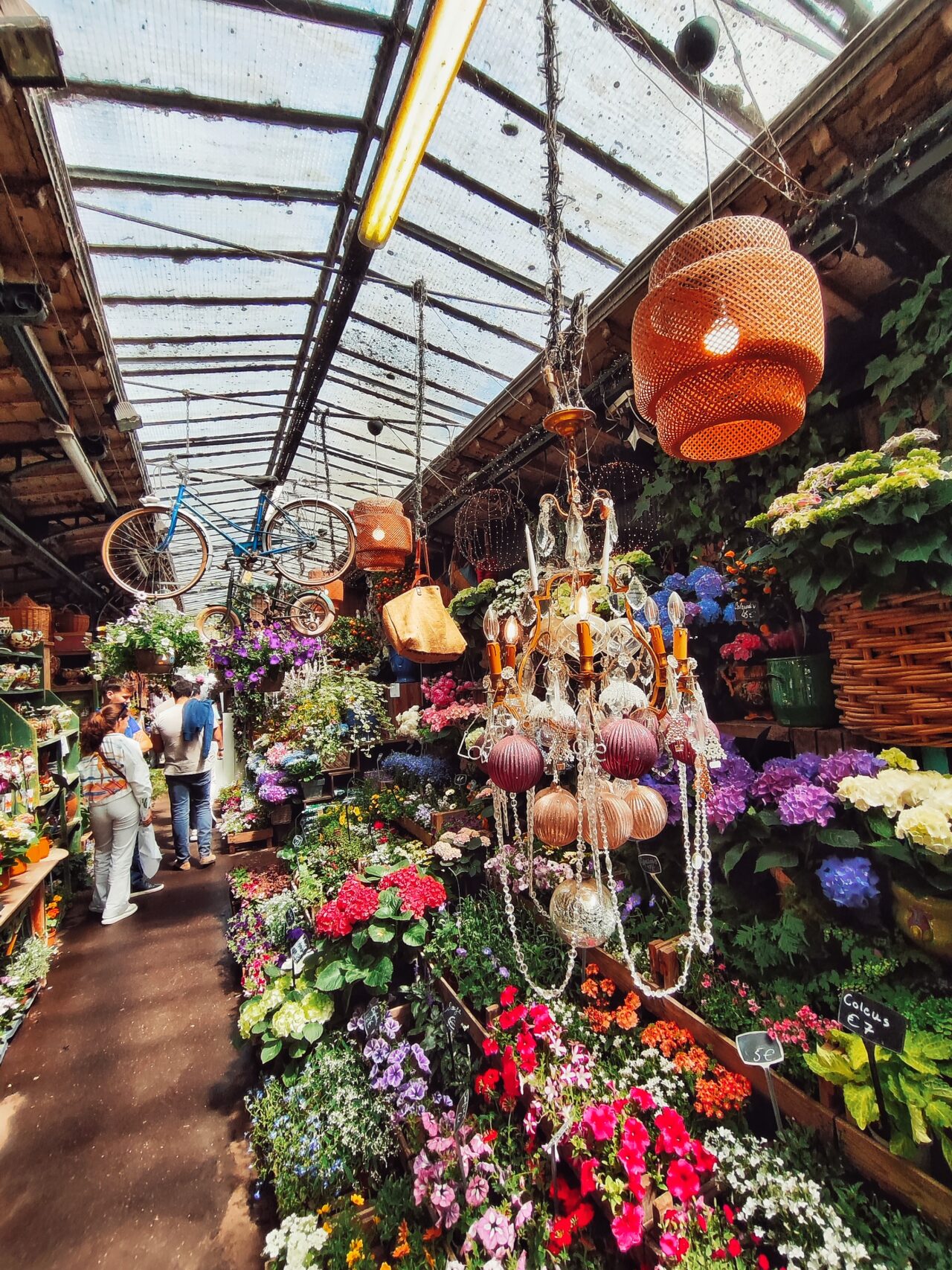 French flower market