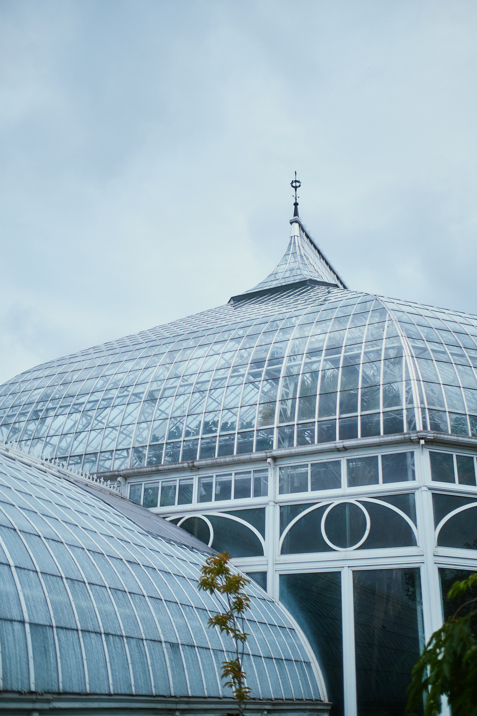 Roof of a green house
