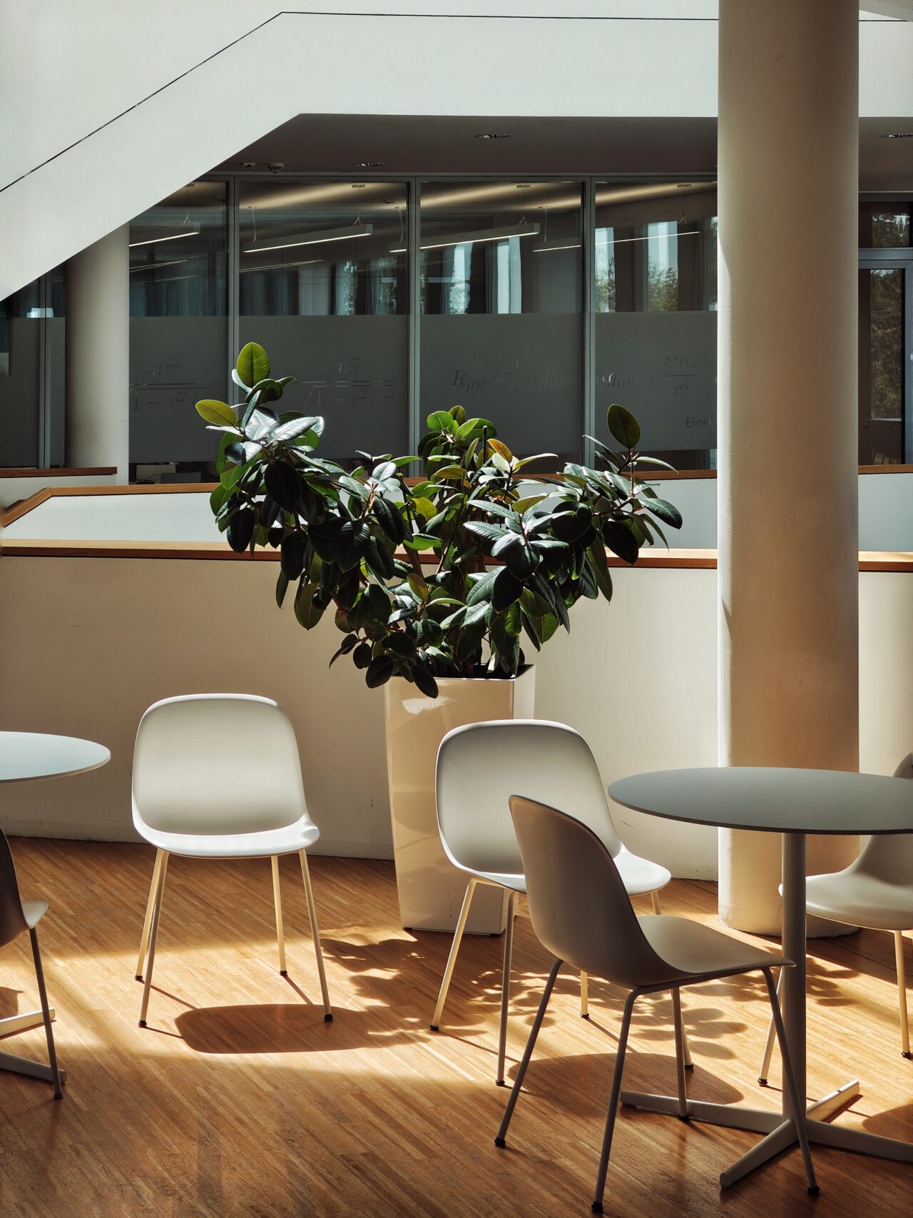 Plant in office building