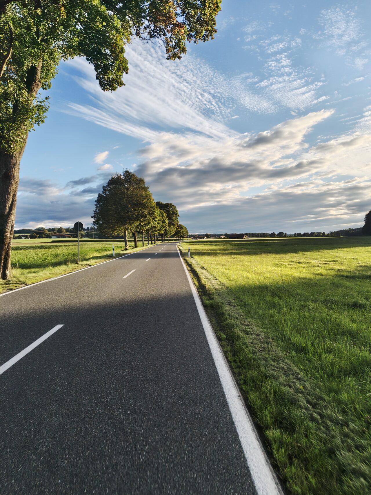 Empty road with sun streaks