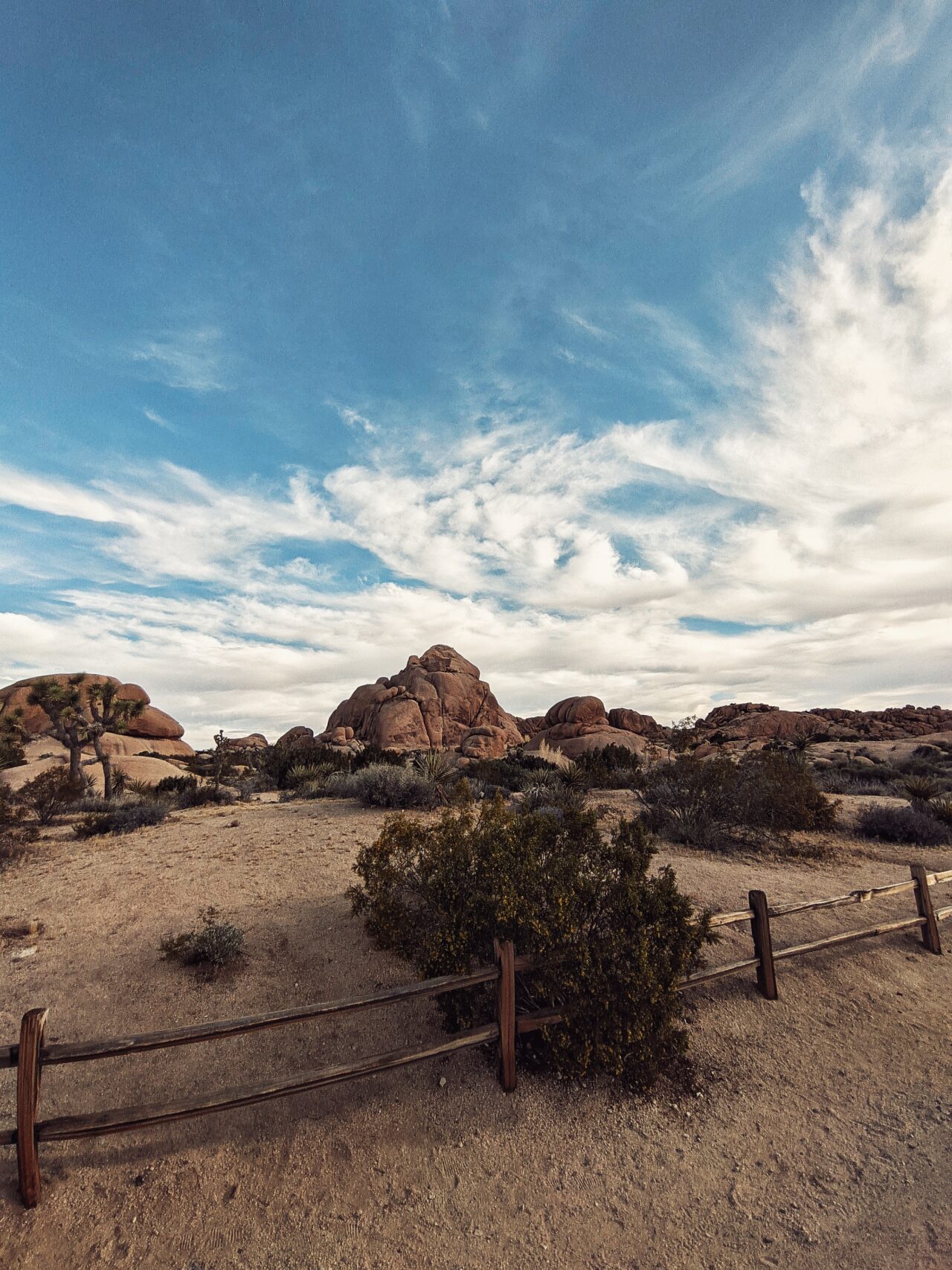 Joshua Tree National Park